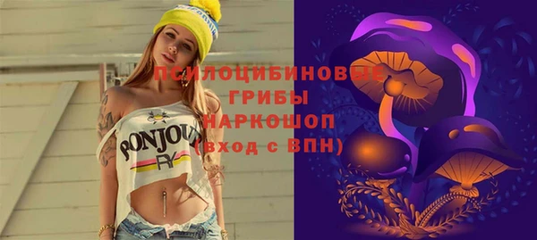 соль ск Армянск