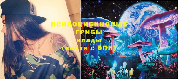 сатива Балахна
