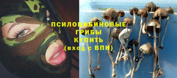 сатива Балахна