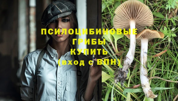сатива Балахна