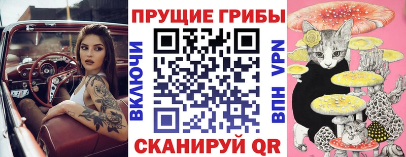 Псилоцибиновые грибы прущие грибы купить цена Полярные Зори